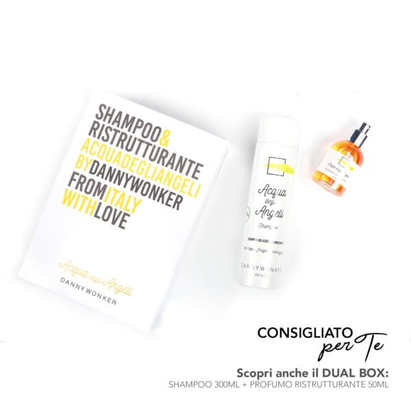 danny-wonker-dual-box ada2